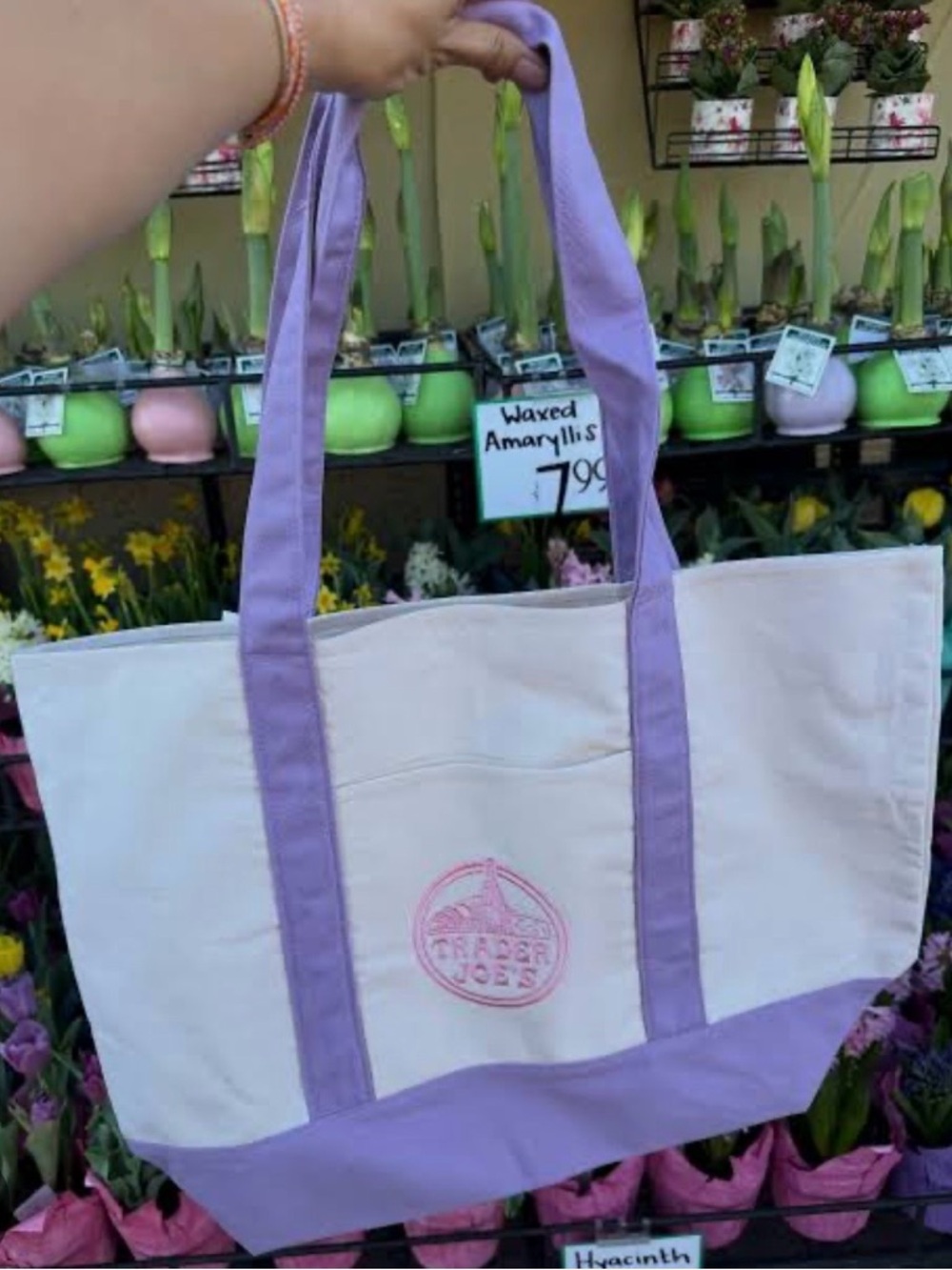 Trader Joe's Canvas Large Tote Bag in Cream and Lavender - Picture 5 of 5